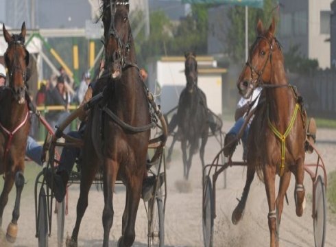 Live Harness Racing at Ocean Downs Casino
