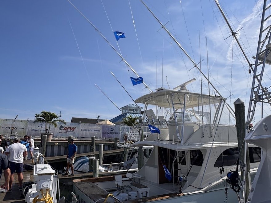 Boss Hogg Fishing Charter