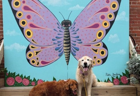 A 3-Day Mural and Public Art Trail Itinerary Along Maryland’s Coast